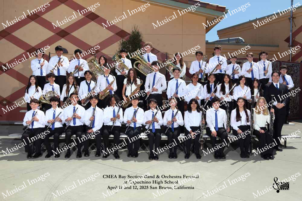 Musical Images